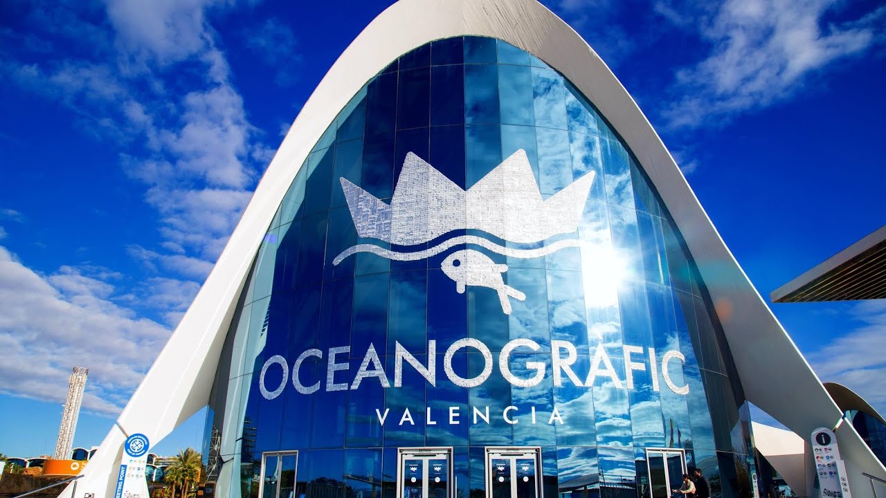 oceangraphic valencia virtual tour 4k 60fps no commentary