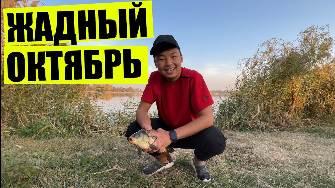 Попытка поймать карпа по холодной воде в конце октября, рыбалка близ Алматы, рыбалка на усадьбе.
