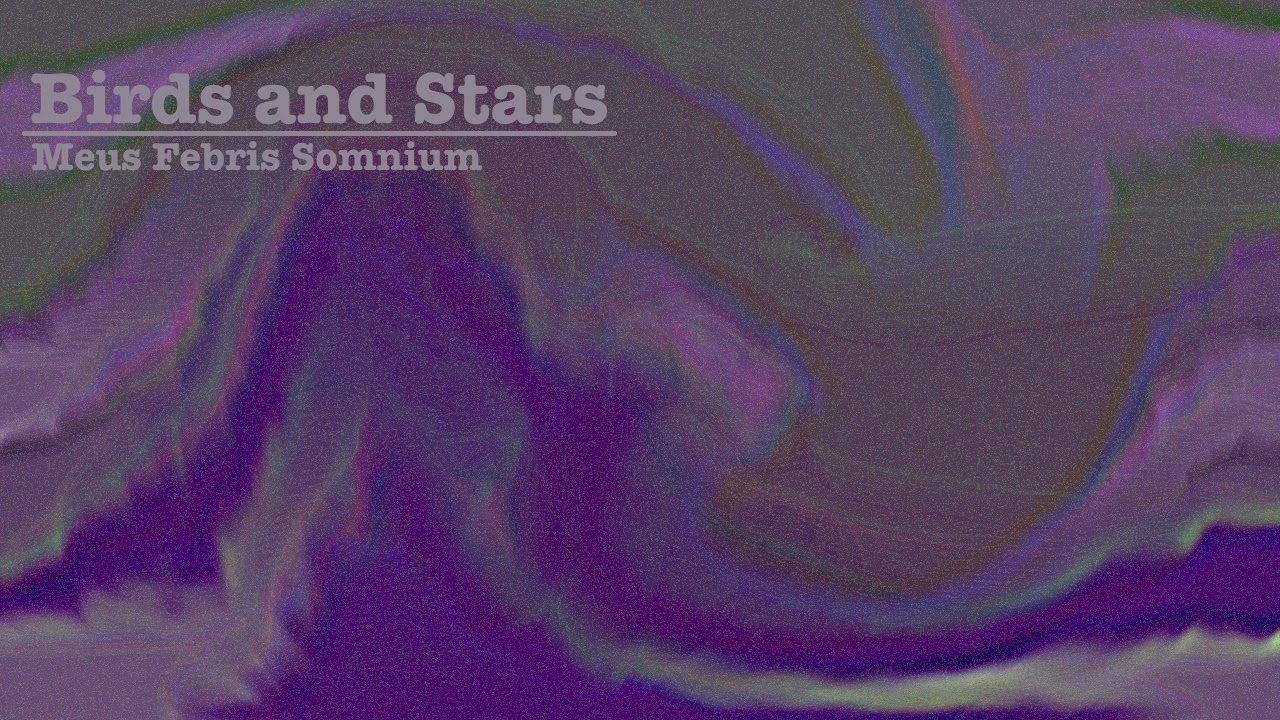 Birds and Stars (Meus Febris Somnium Album)
