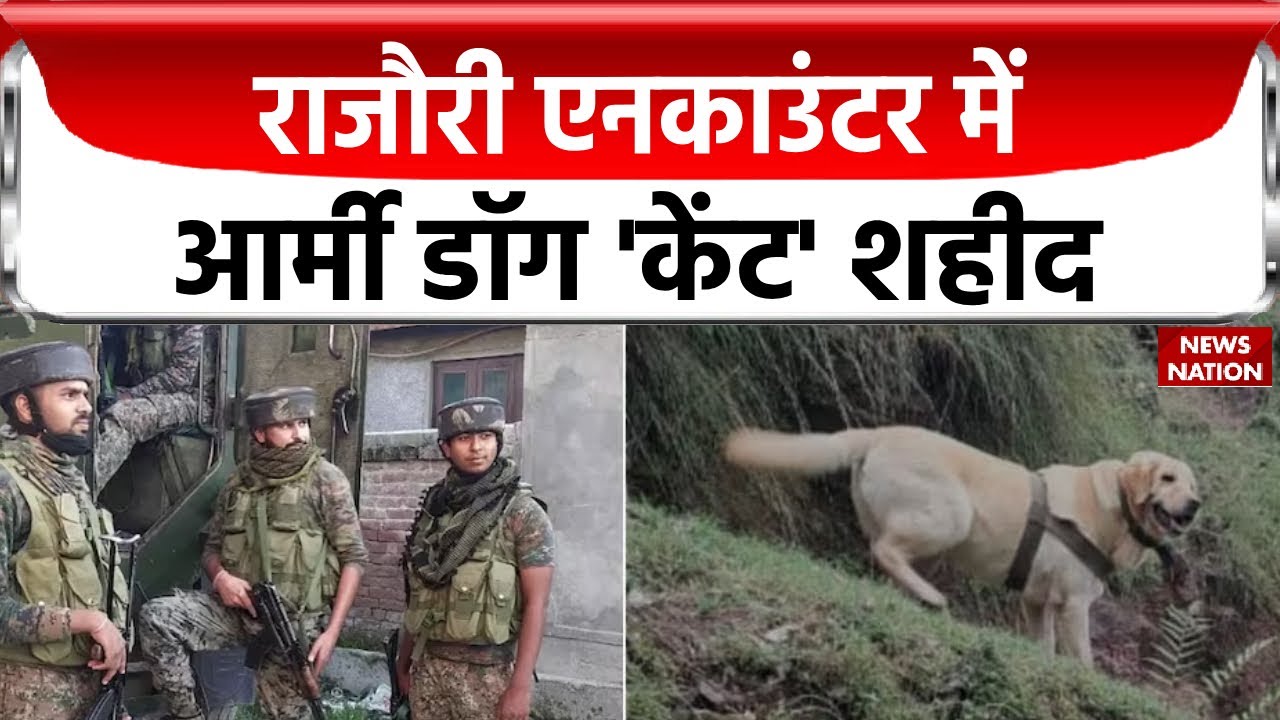 Rajouri Encounter: सैनिक की जान बचाने के लिए सेना के डॉग ने दे दी कुर्बानी | Indian Army dog Kent