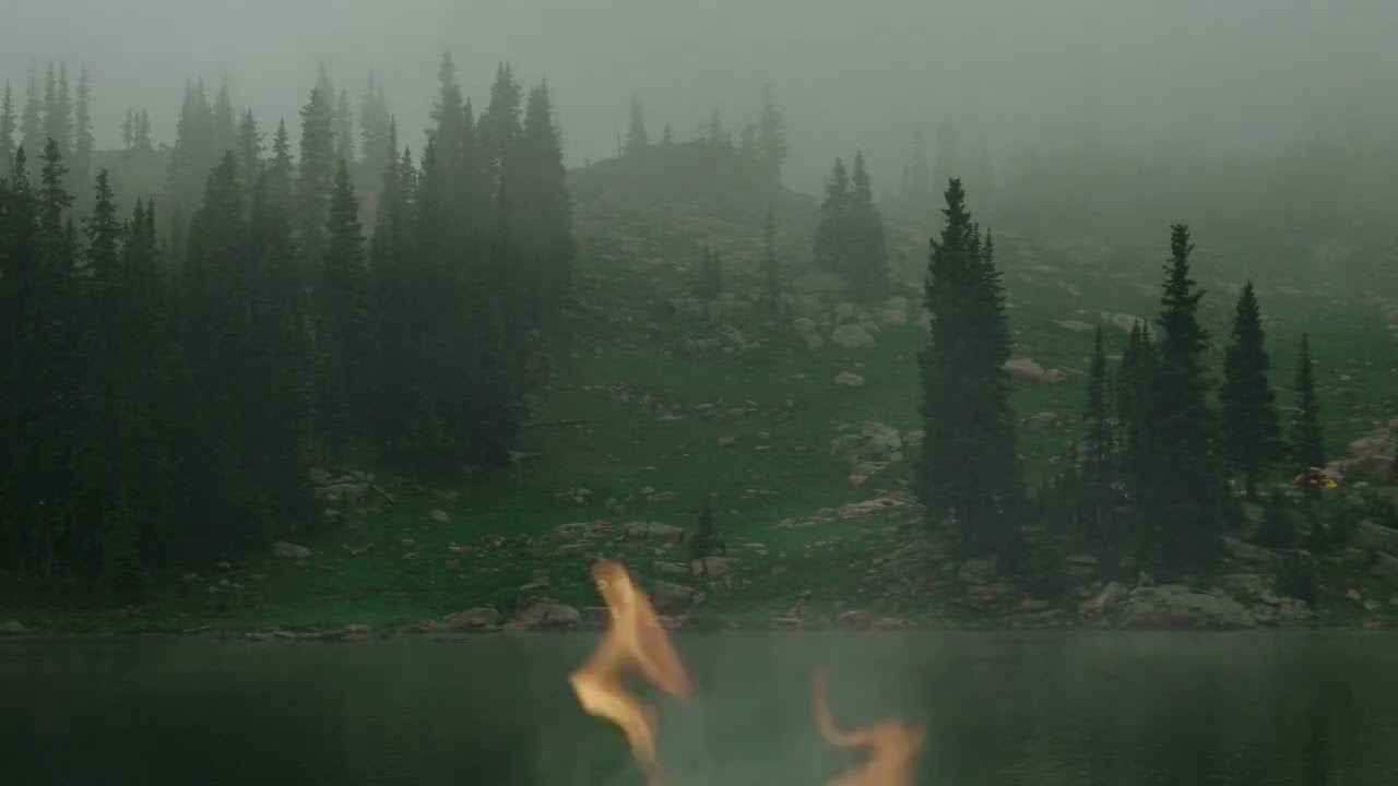 Early morning campsite breakfast ambience: Birdsong, campfire and cooking sounds :)