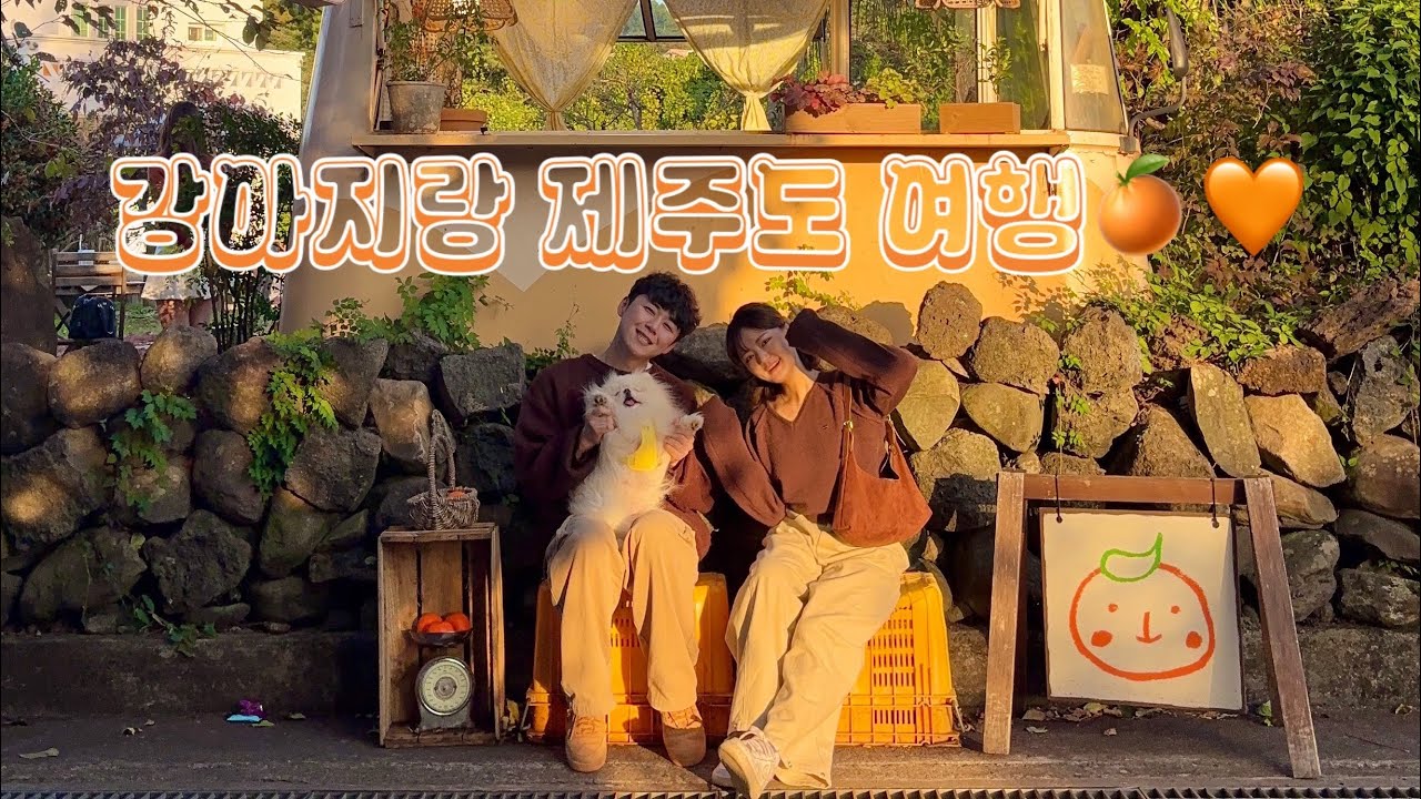 강아지랑 4번째 제주도 여행🍊🧡