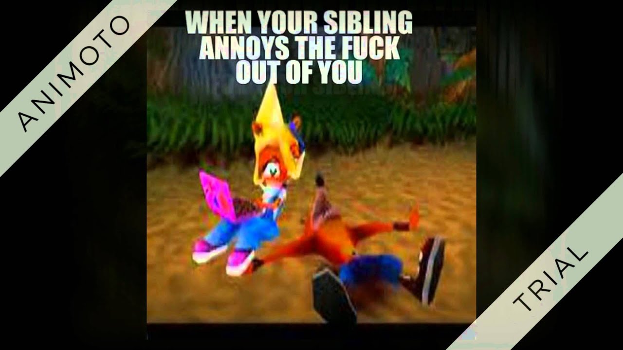 Funny and odd memes CX