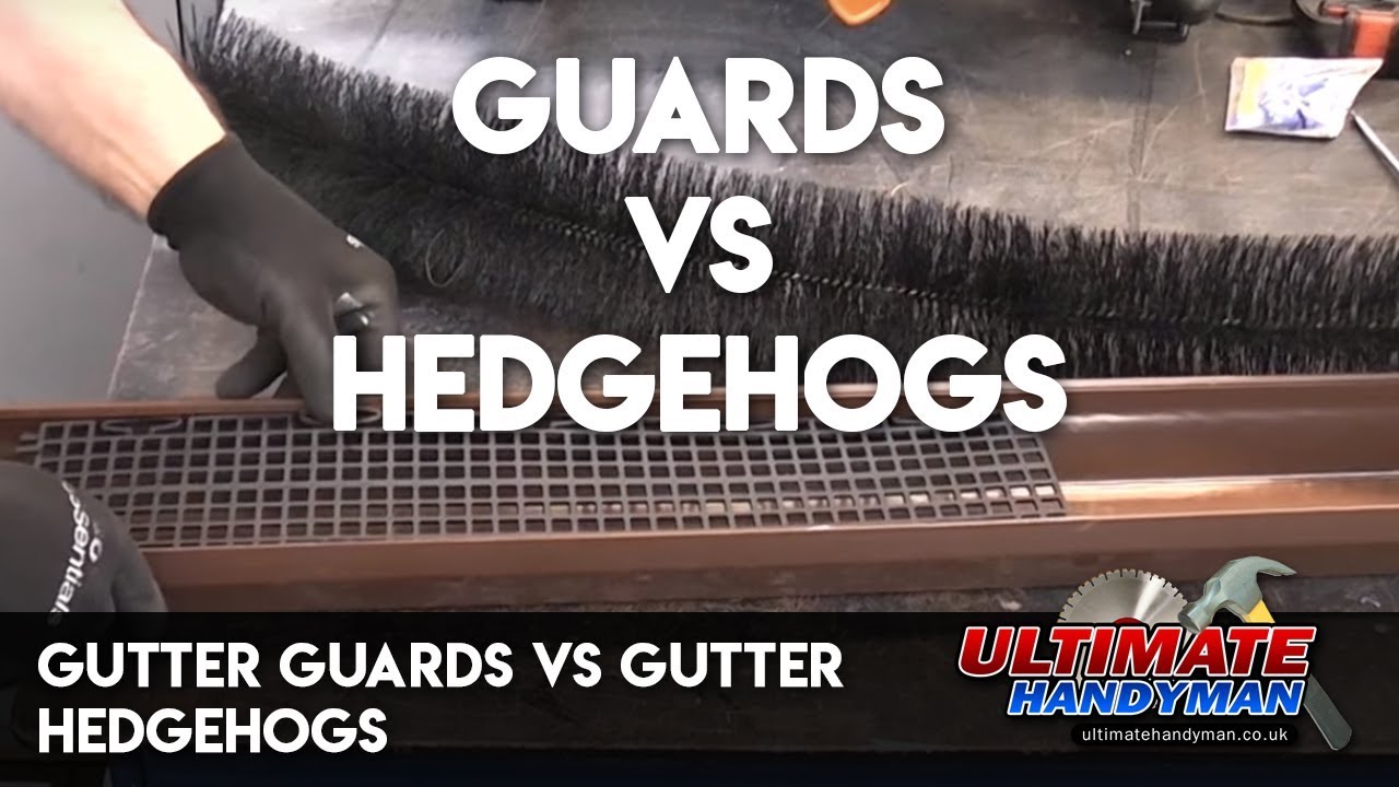 Gutter guards vs gutter hedgehogs