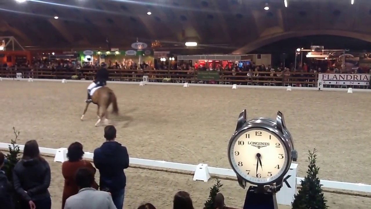 Kür op muziek niveau 1 - Nell en Wonder 