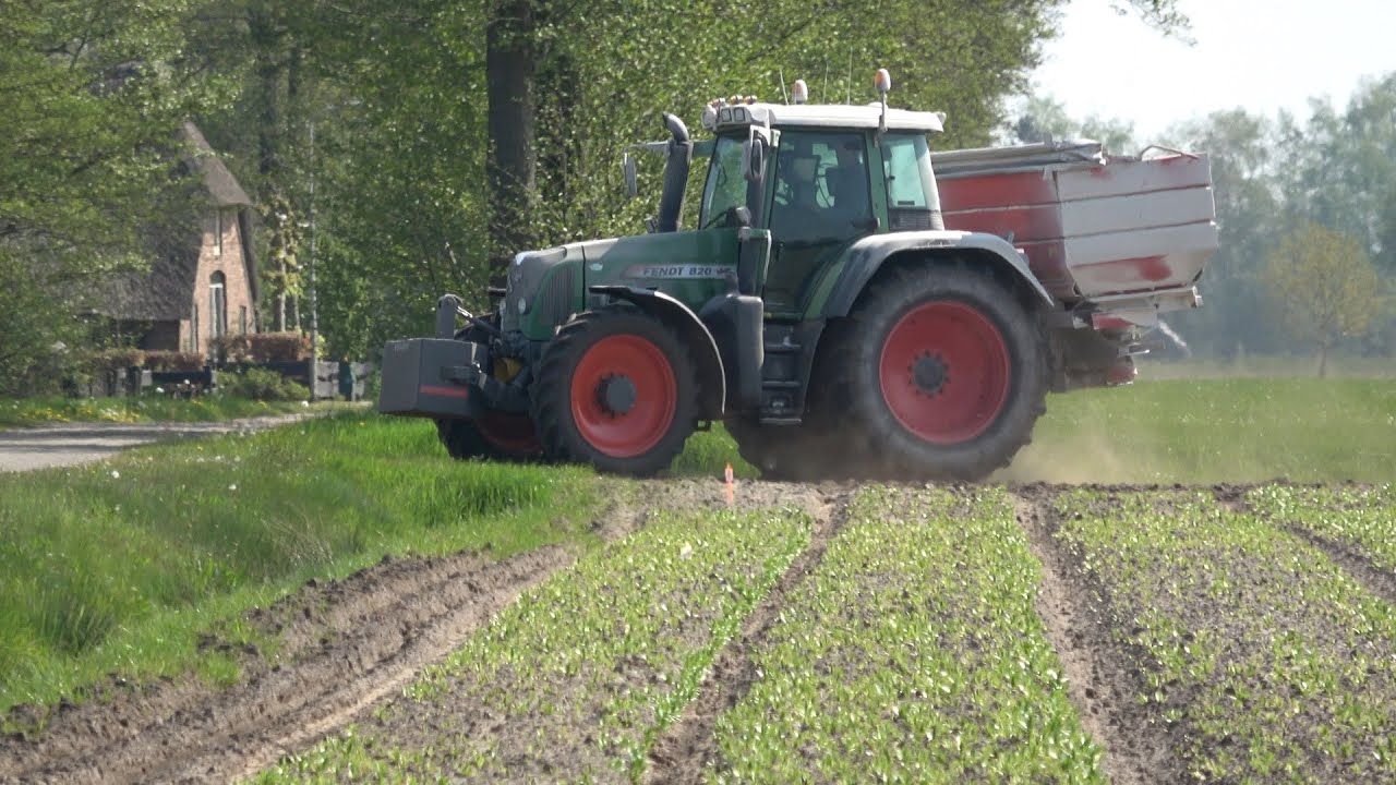 Kalk strooien op lelies met Fendt 820 Vario en Vicon Rotaflow strooier (2022)