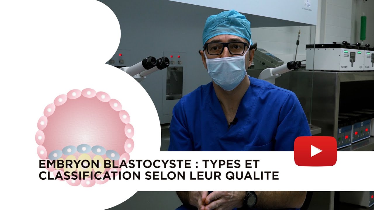 Embryon blastocyste : types et classification selon leur qualité