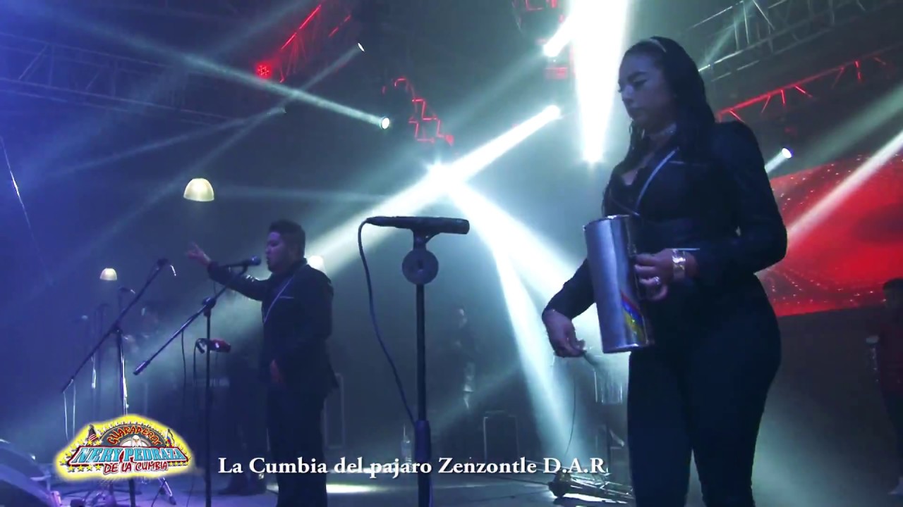 Nery Pedraza y los Guaraperos de la Cumbia 💥 Cumbia del Pájaro Cenzontle
