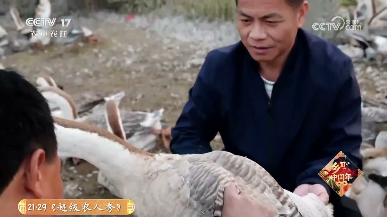 《共富经》 20260128 南北滋味 各有门道 | 农业致富经 Agriculture And Farming