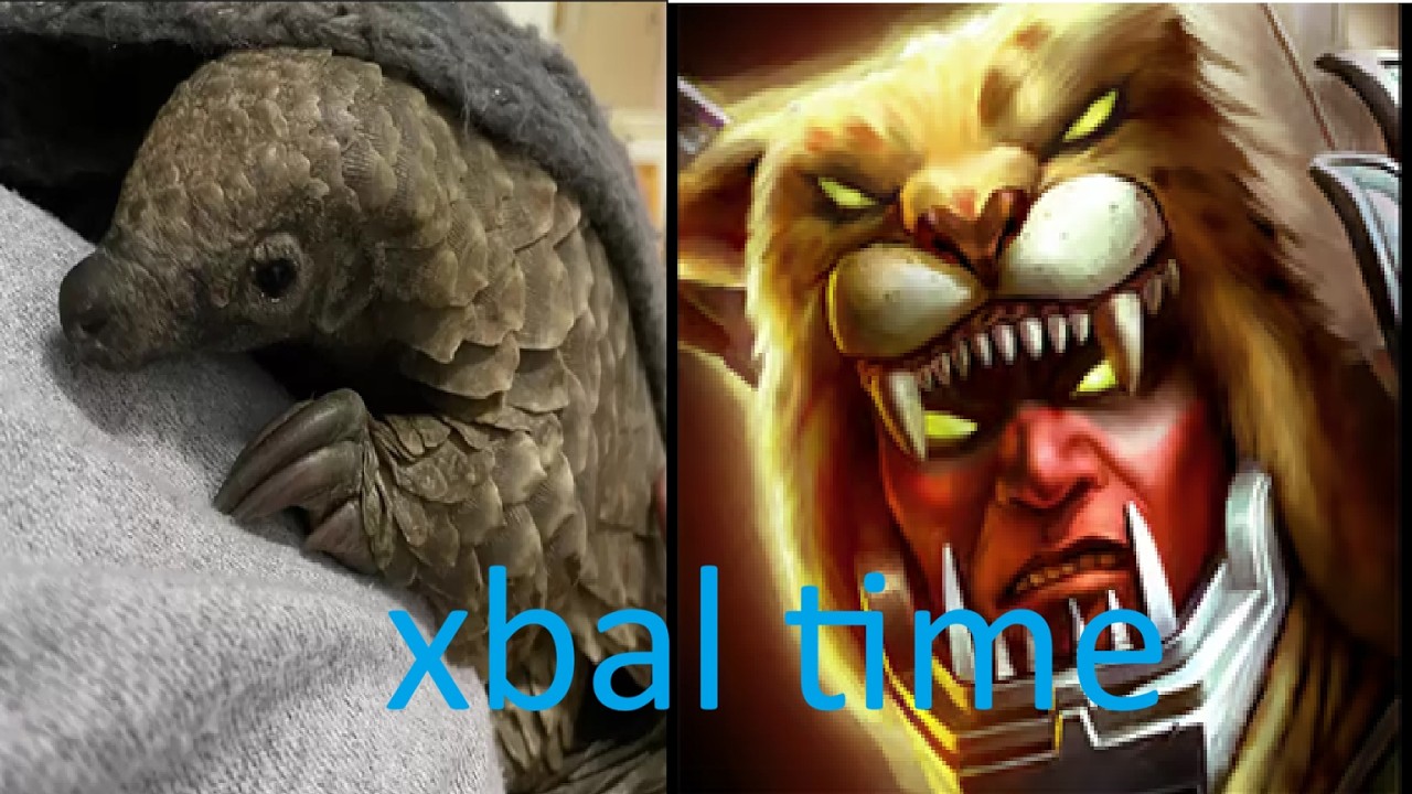Manifesting Playable Xbalanque