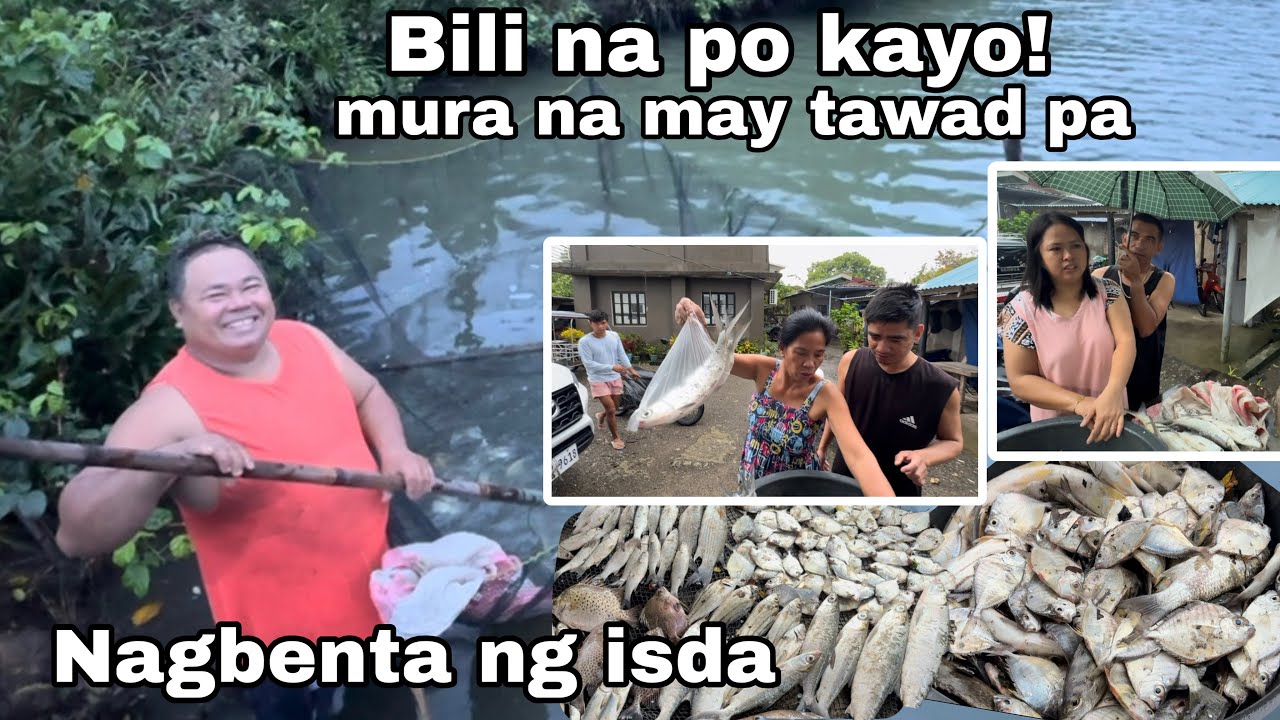 Nagbenta kami ng isda | murang-mura na may tawad pa!