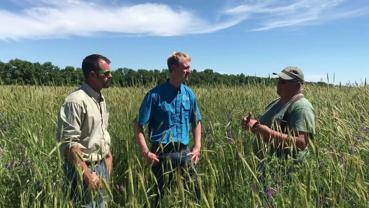 🌻 Gabe Brown’s Most Profitable Crop & Understanding Regenerative Agriculture