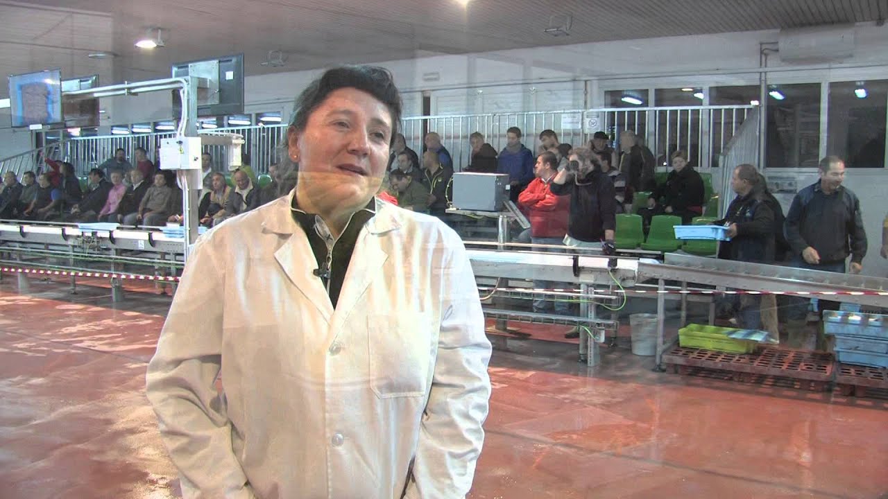La Lonja