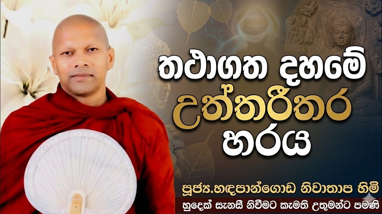 තථාගත දහමේ උත්තරීතර හරය #ven.Hadapangoda Niwathapa thero#dharmayai obai #pahura