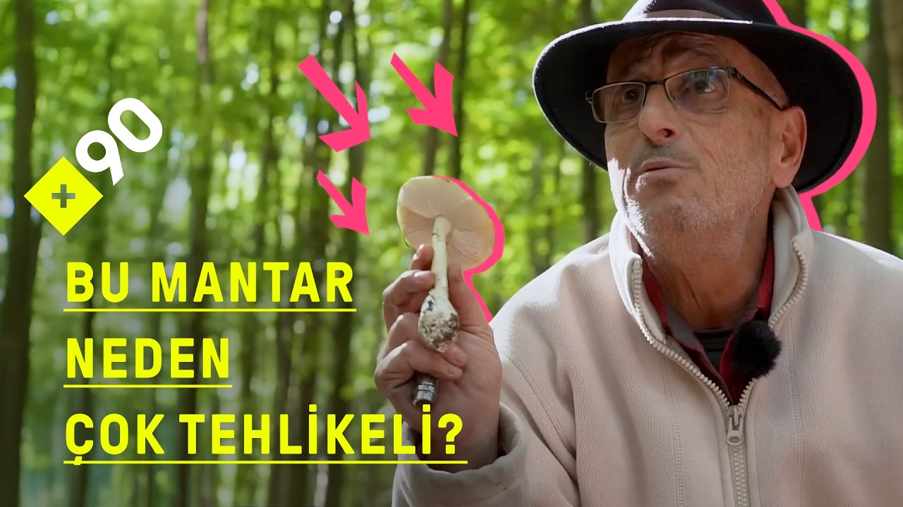 Mantar avında yapılan en büyük hatalar neler?🍄