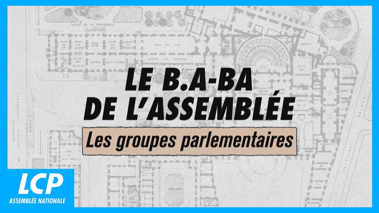 Les groupes parlementaires | Le B.A. - BA de l'Assemblée nationale #03