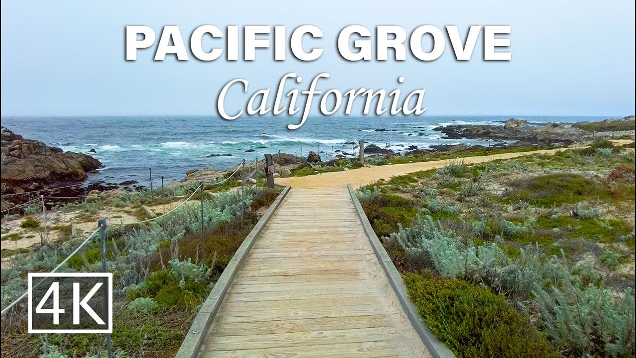 [4K] The Asilomar Coast Trail - Perfect For A Stroll In Pacific Grove, California