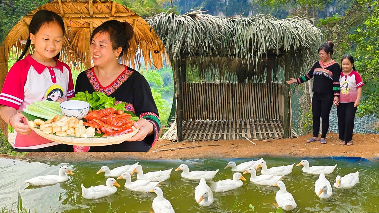 Completed the duck coop - A peaceful day with my daughter and enjoying delicious pho rolls