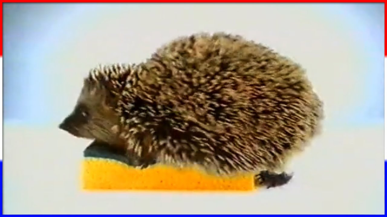 Funniest French Commercials 🇫🇷