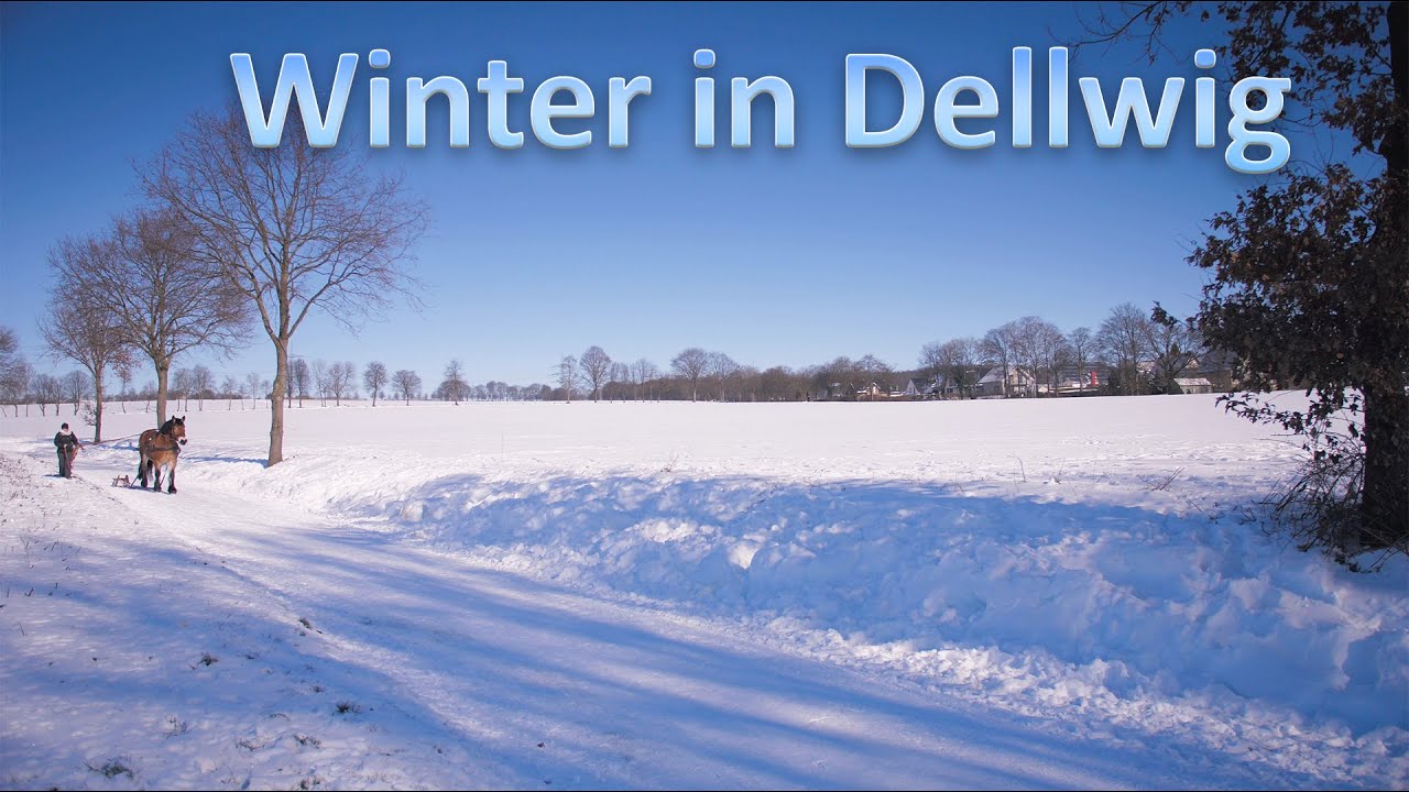 Winter in Dellwig 2021