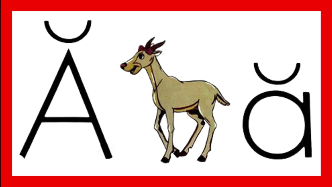01 antelope A.C.E
