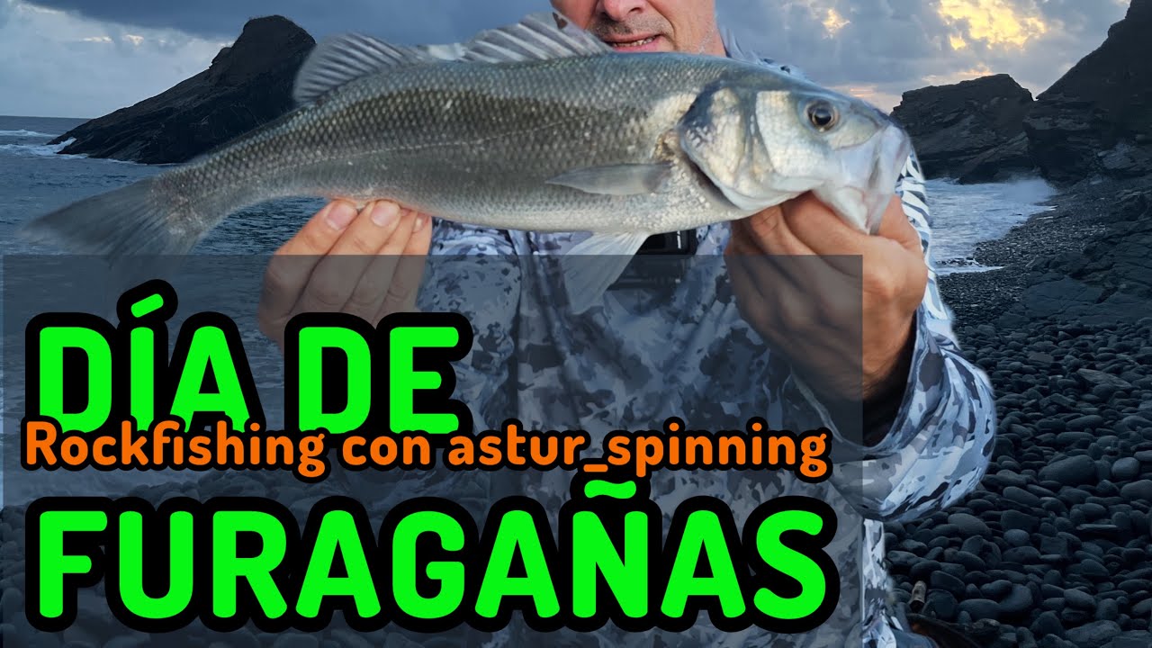 ROCKFISHING en ASTURIAS: 4 LUBINAS en PLAYA DE REGODONES