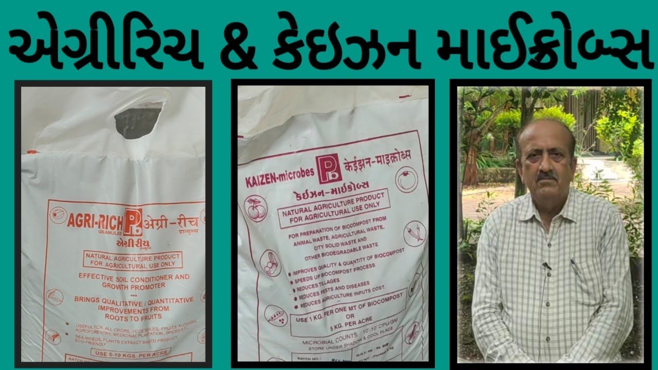 પાકનું પોષણ એગ્રીરિચ અને કેઈઝન માઈક્રોબ્સ..જાડેજા સાહેબ.મો 6355848716