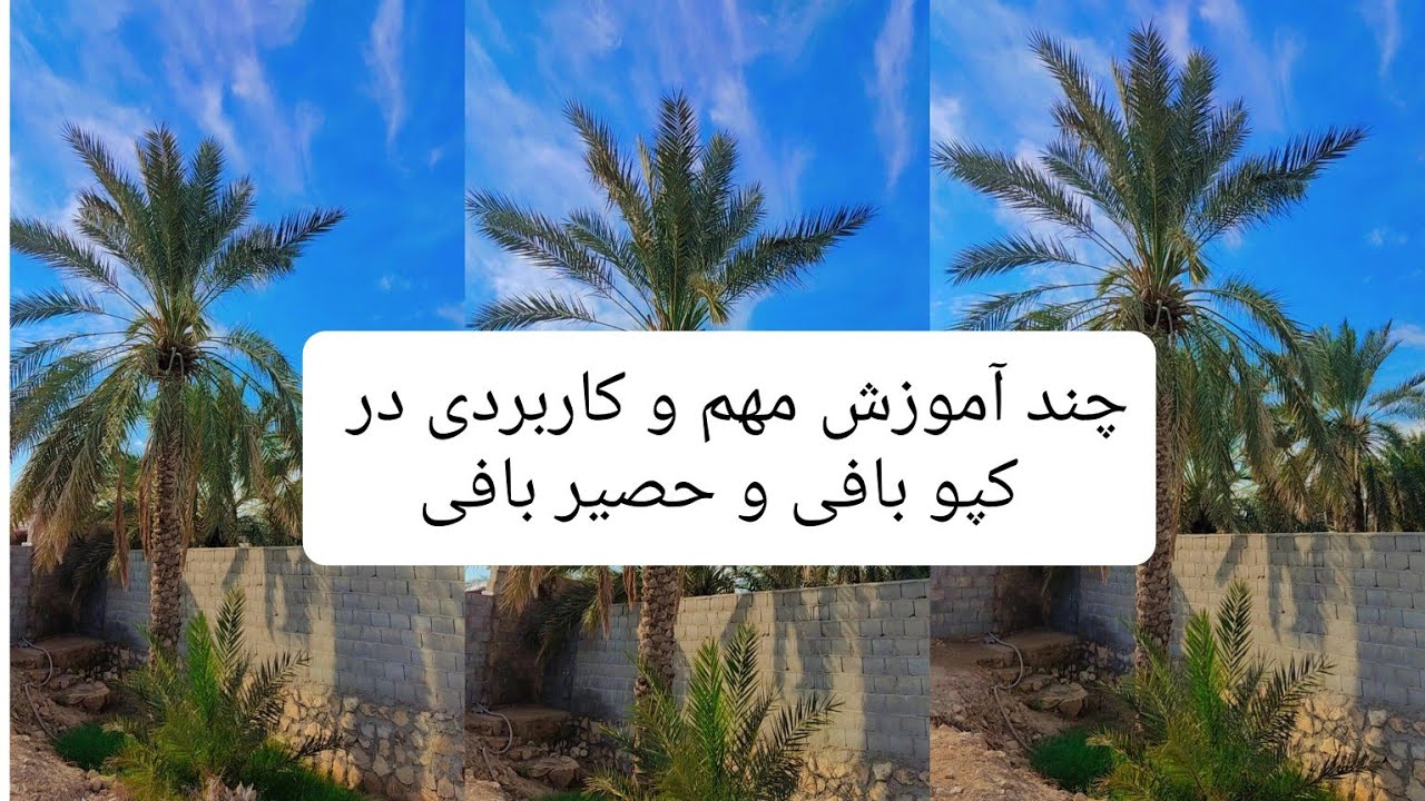 کپوبافی و حصیربافی:آموزش های کاربردی برای کپوبافی و حصیربافی