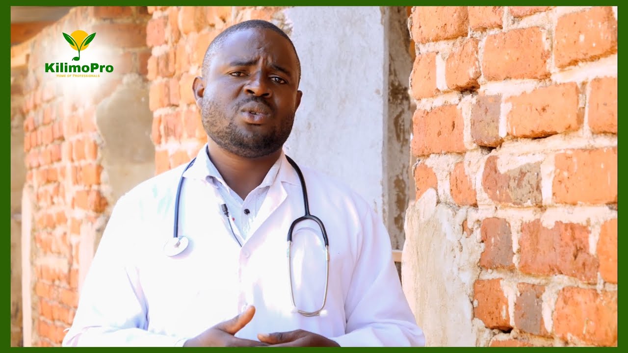 UFUGAJI NGURUWE KIBIASHARA, DAKTARI WA MIFUGO, MBEGU BORA ZA KISASA, UFUGAJI WENYE TIJA