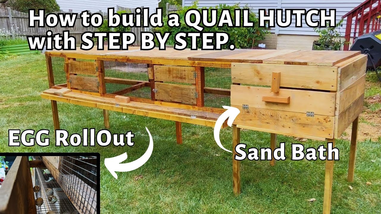 how to build a one tier quail cage hutch coop. Egg roll out tray, sand bath. DIY Pallet woods.