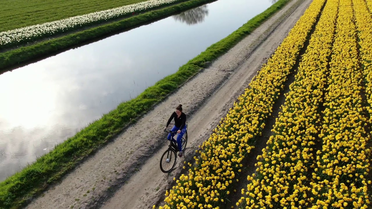 The Netherlands, Hillegom