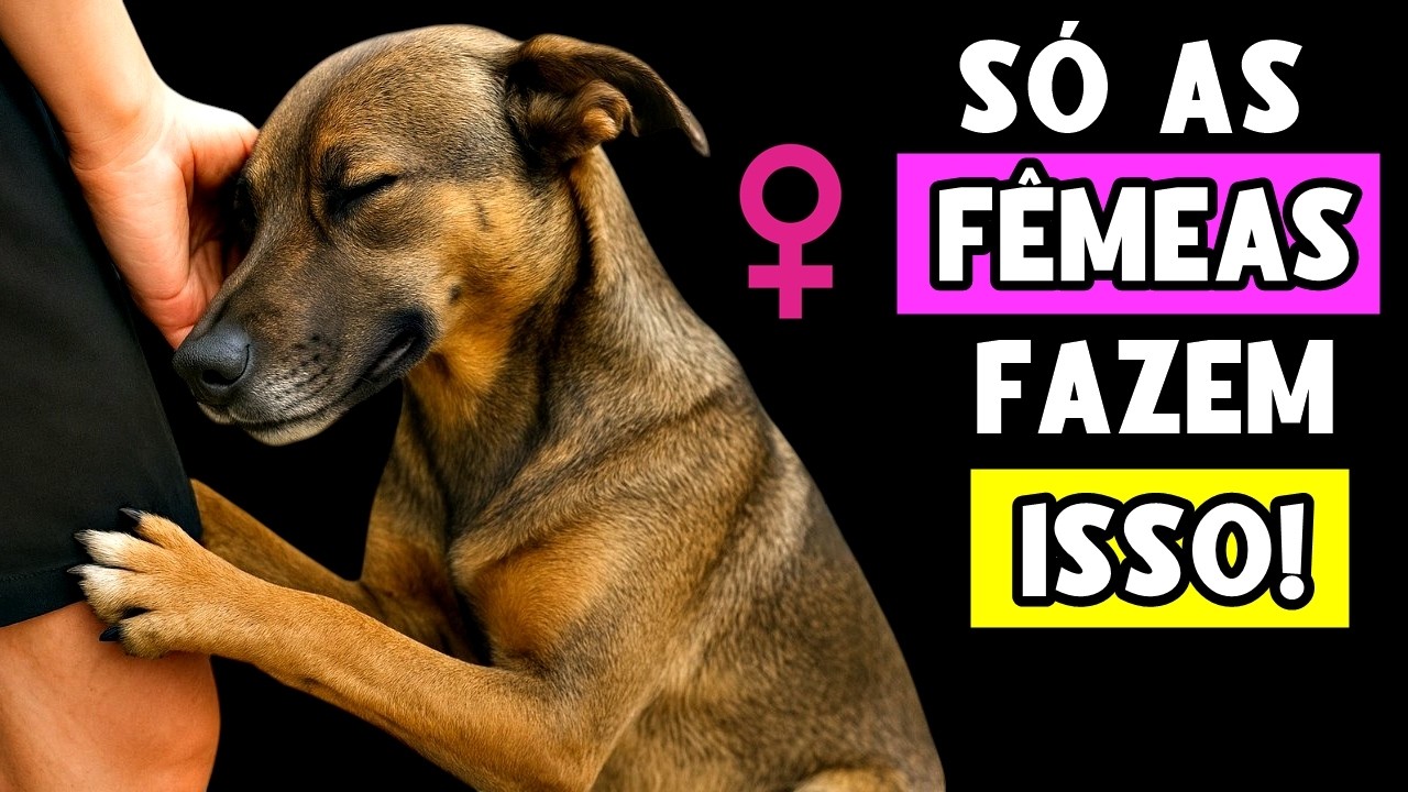 Só Cadelas Agem Assim… E a Razão Vai Tocar o Seu Coração! 🩷🐕