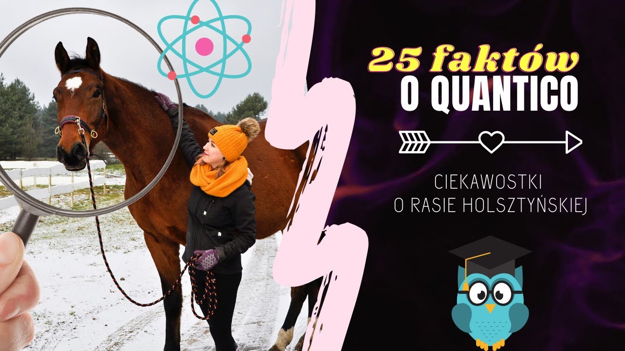 25 FAKT&Oacute;W O QUANTICO + ciekawostki o rasie holsztyńskiej 🧐