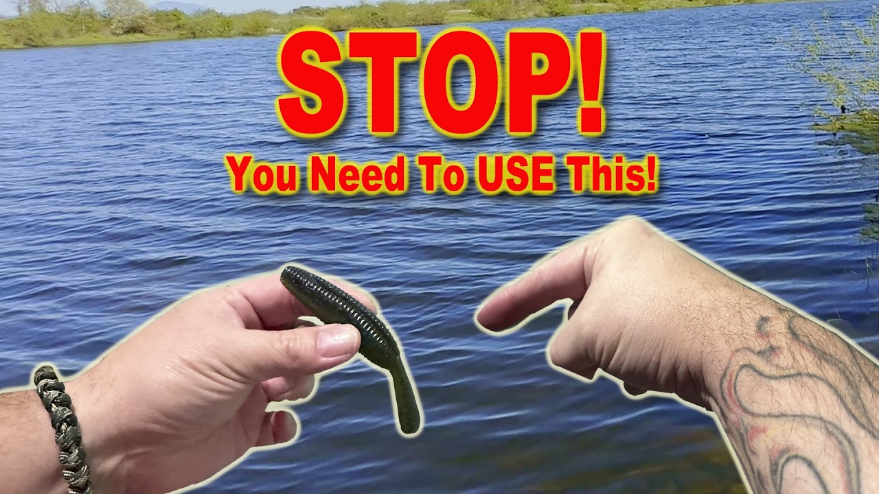 BASS FISHING TECHNIQUES THAT ACTUALLY WORK