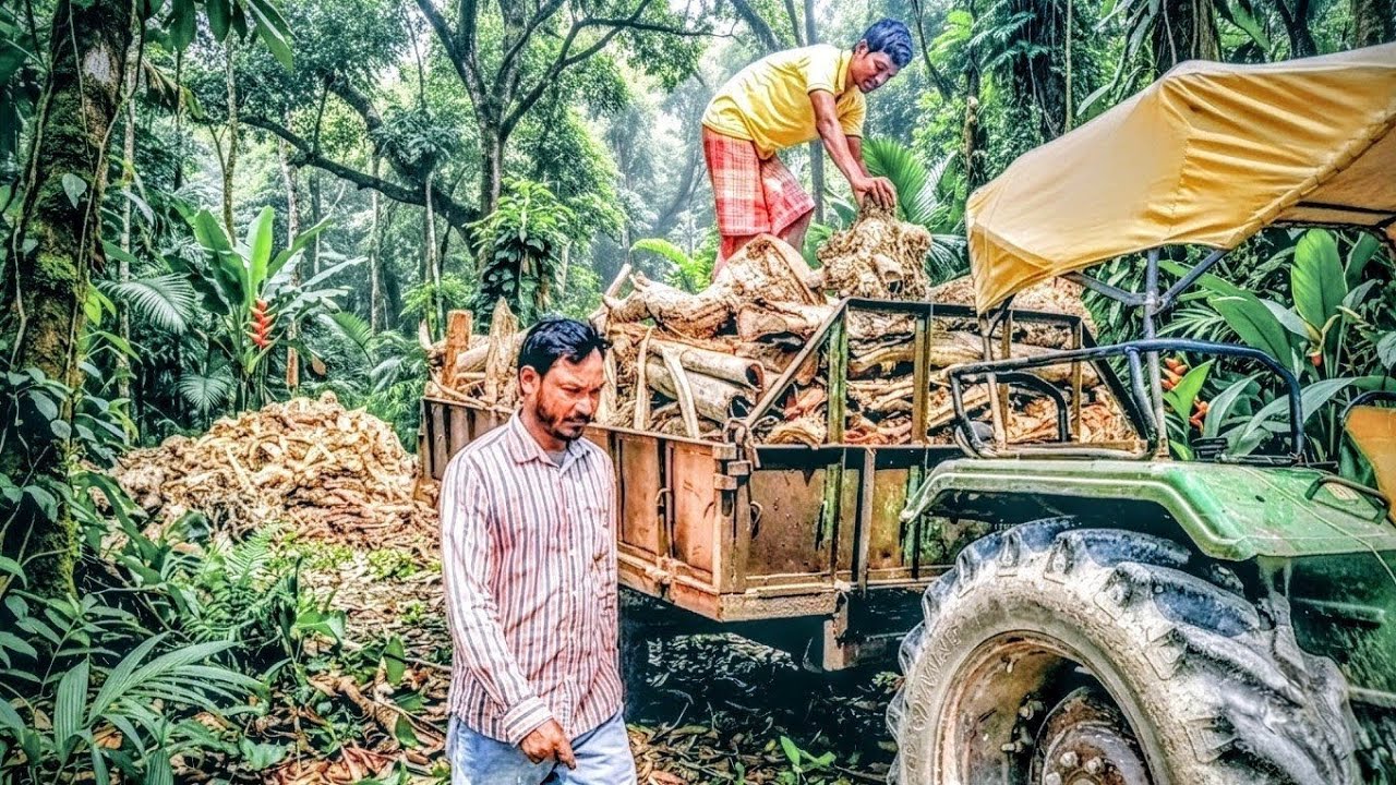 কামাই করতে গিয়ে উল্টে লস! সকালে খরির টিপ,দেখুন…🚜 😱