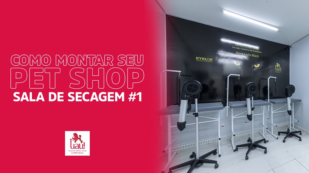 Como montar seu Pet Shop: Sala de Secagem #parte1