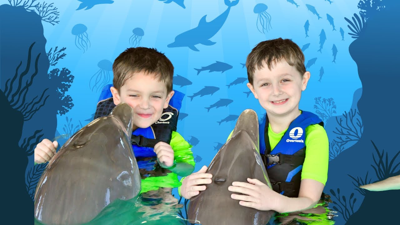 Swimming with dolphins at Ocean World, Puerto Plata