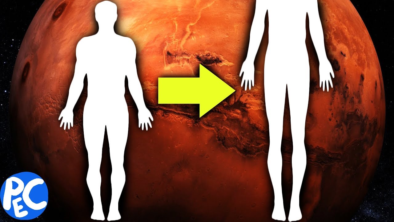 a EVOLUÇÃO HUMANA em MARTE