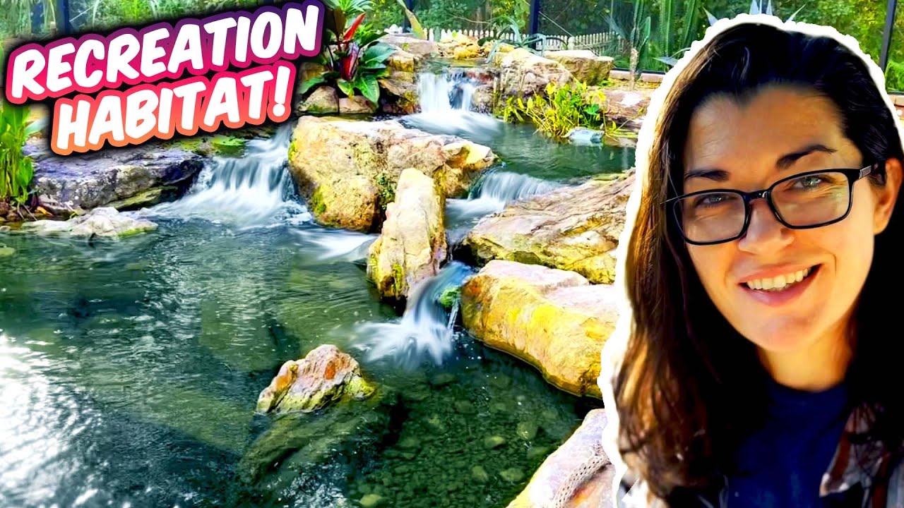 A Recreation Pond For Lizards!?!