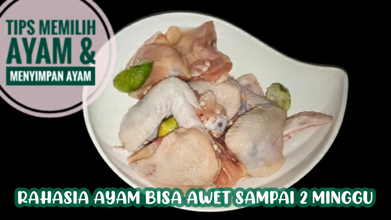 Tips Memilih Ayam Segar Yang Benar | Cara Menyimpan Ayam Bisa Awet Sampai 2 minggu