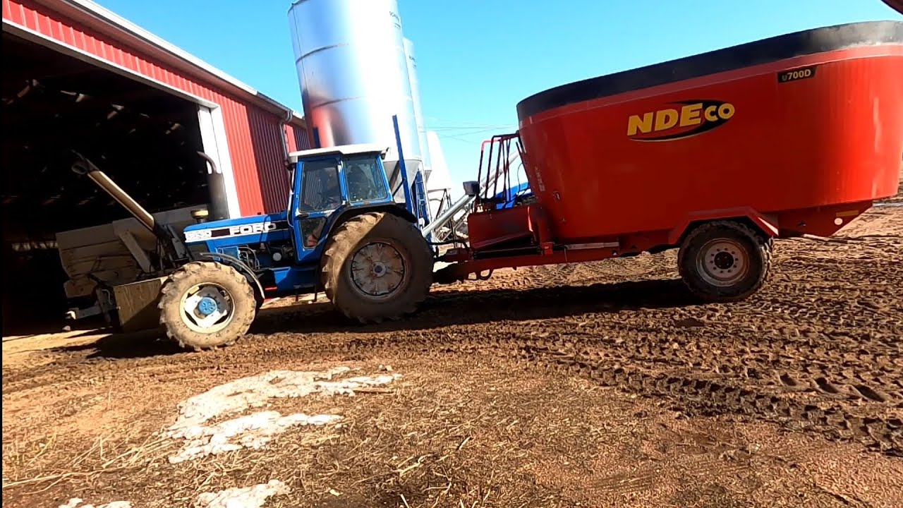 Mixing feed for our dairy cows