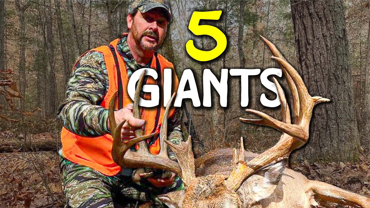 5 GIANT Bucks from Virginia