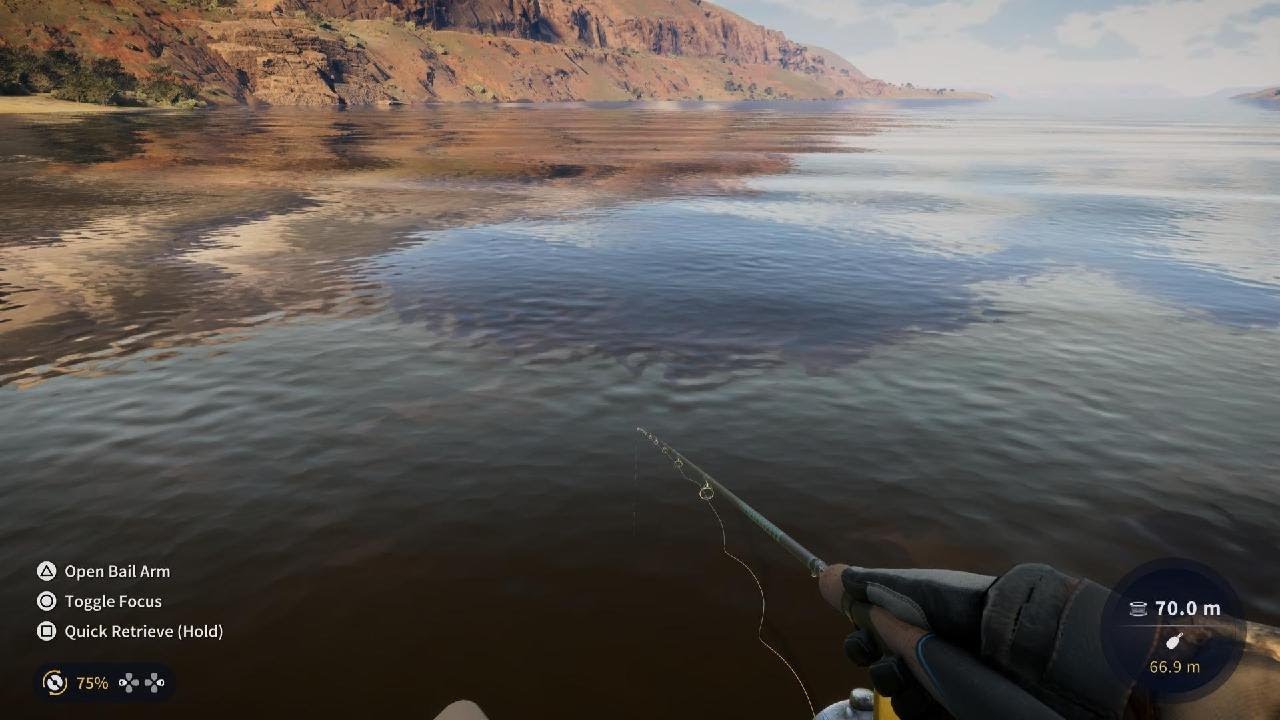African Sharptooth Catfish Gold Fishing Part 1