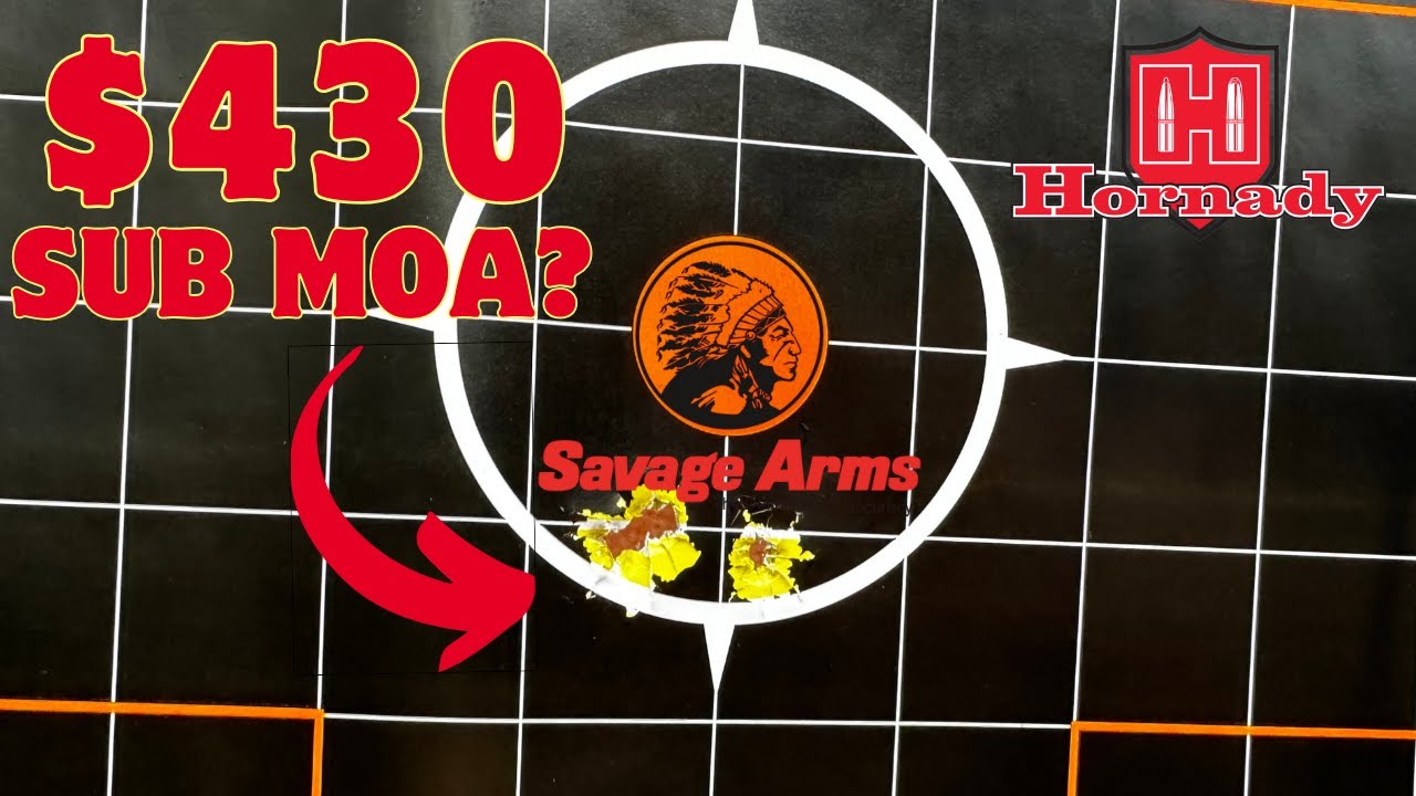 Savage Axis .308 Hunting Rifles | Best Budget Rifle?