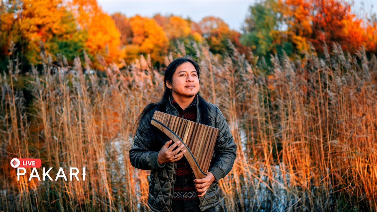 Pakari - Music for the soul🌿