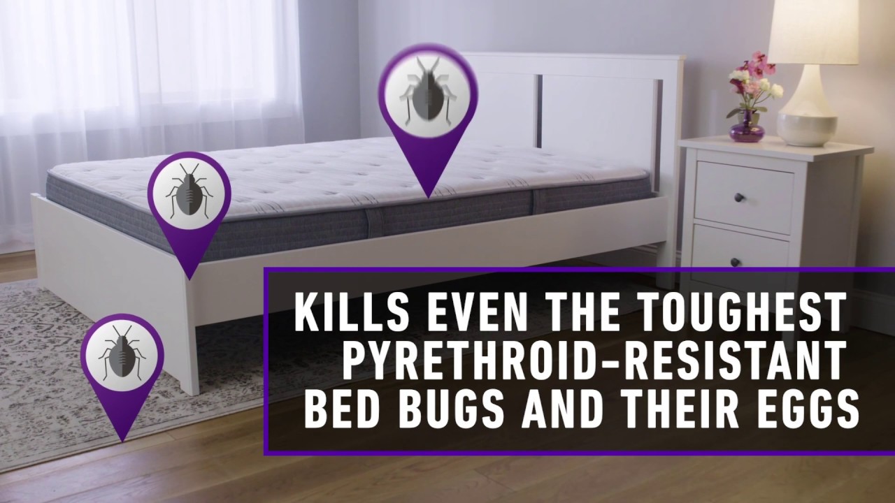 How to Use Ortho&reg; Home Defense Max&reg; Bed Bug, Flea & Tick Killer Trigger Sprayer