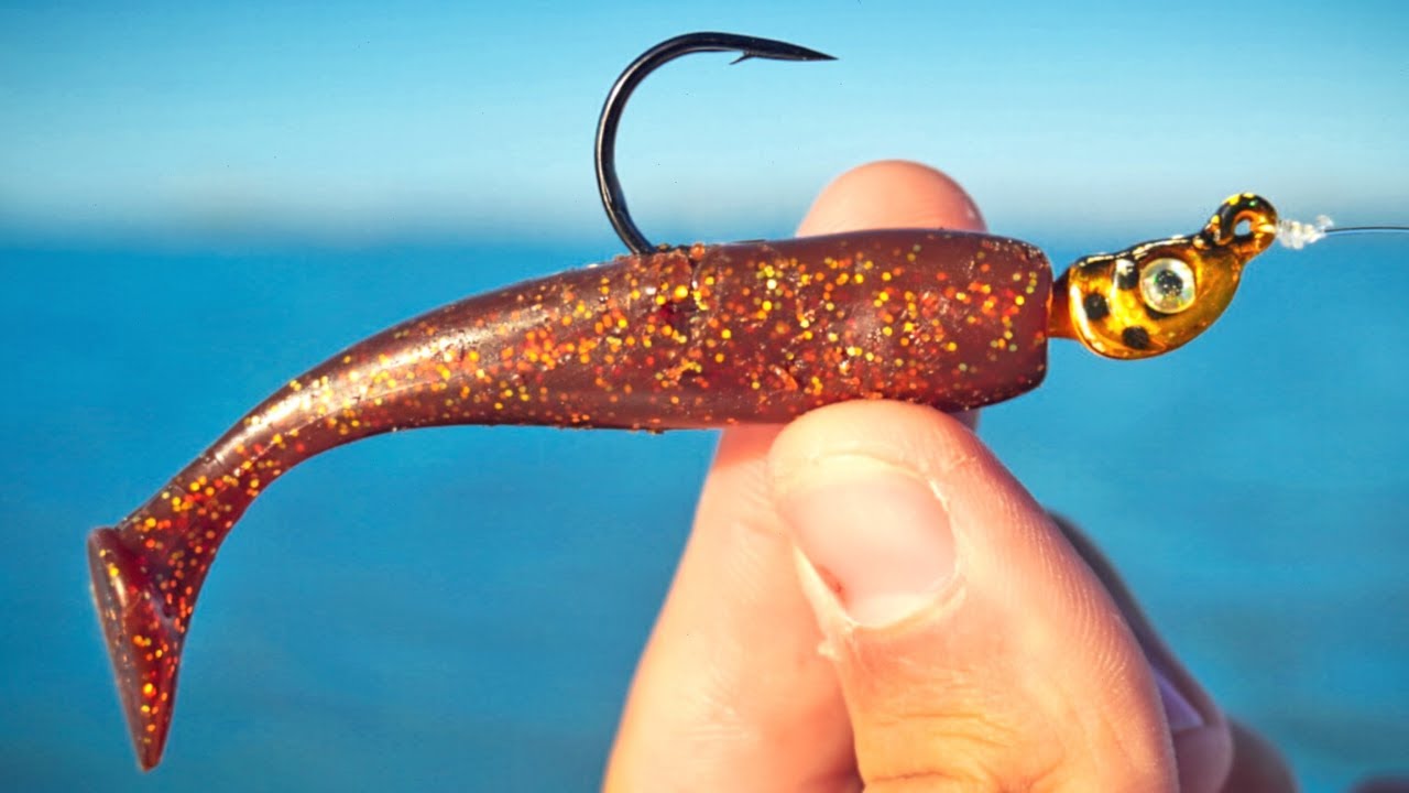 Tampa Bay Winter Fishing For Speckled Trout and Redfish