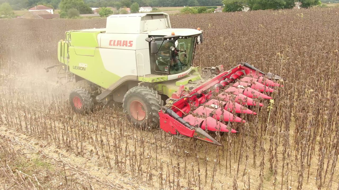 🌻Récolte de Tournesol🌻CLAAS LEXION 630 / CAPELLO 8 RANGS
