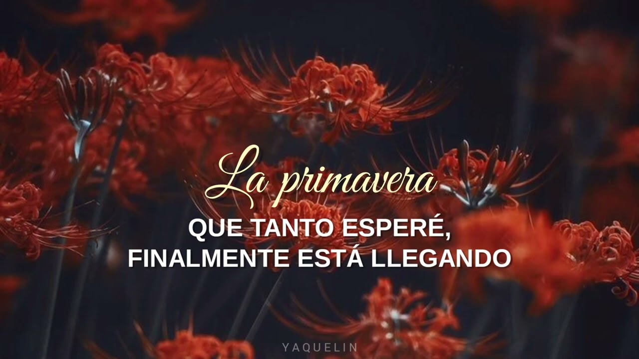 | Ahn Yeeun (안예은) | 상사화 « Magic Lily » || Sub español  * Descripción