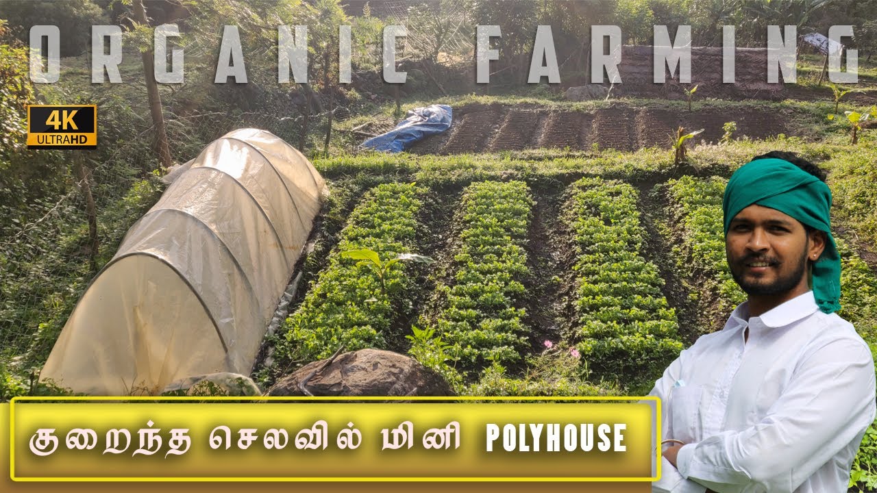 நீங்களும் இனி பசுமைக்குடில் அமைக்கலாம் ! | Easy to build PVC Polyhouse Nursery | Tamil Native Farmer